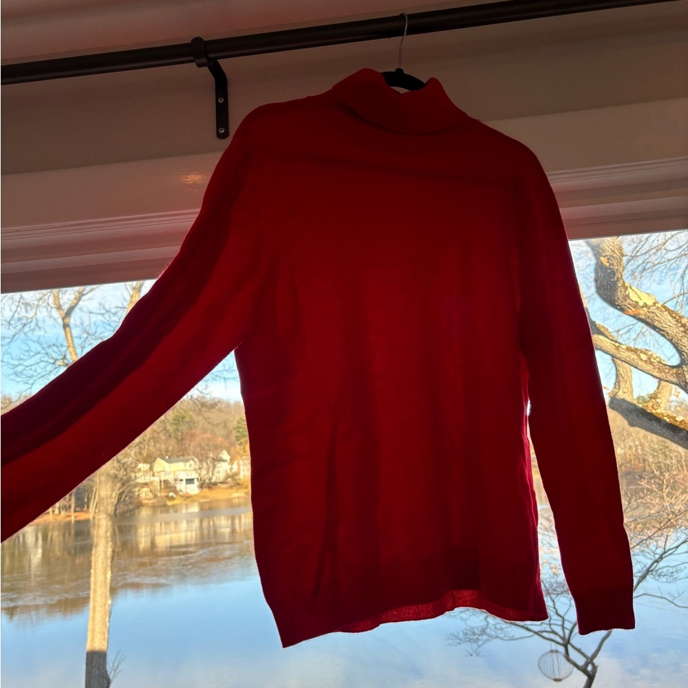 Gobi 100% cashmere turtleneck
